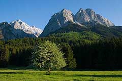 Vorschau fehlt
