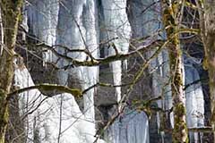 Vorschau fehlt